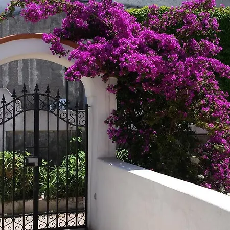Ξενοδοχείο Casa Vives Forio di Ischia